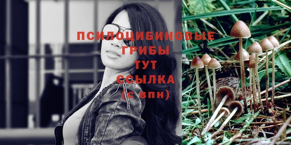 мдпв Хадыженск