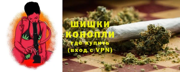 твердый Володарск