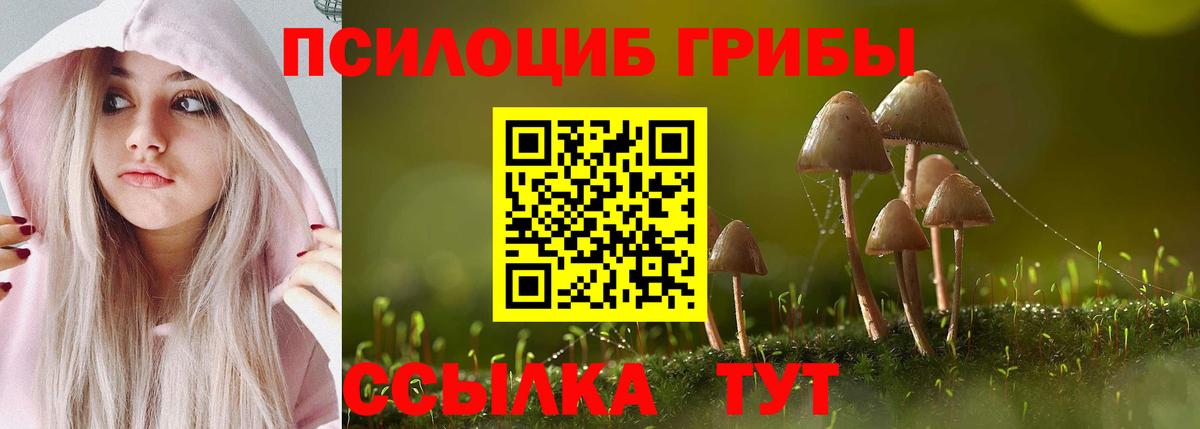 Подольск  Псилоцибиновые грибы Psilocybine cubensis  Вход с VPN 